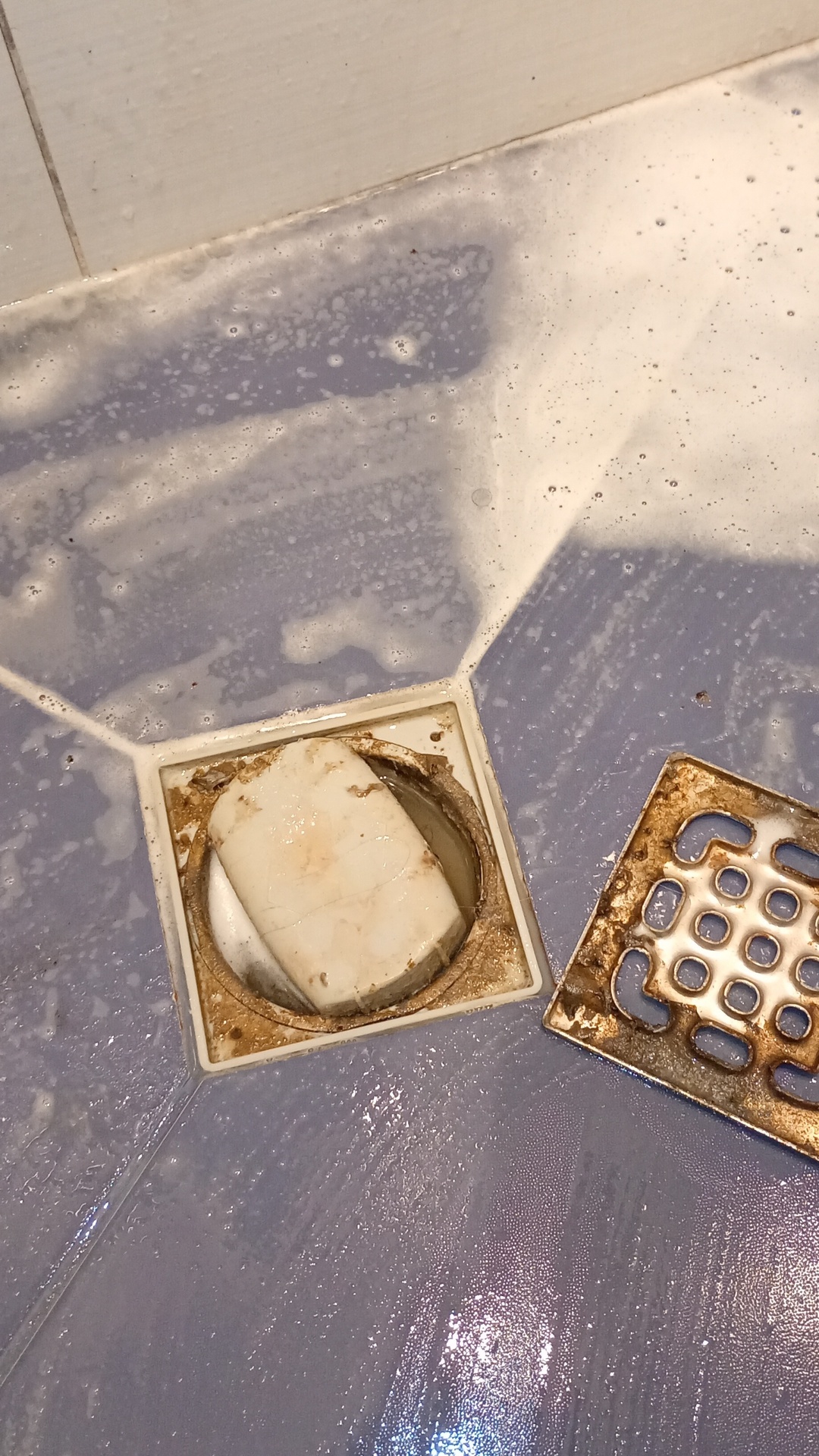 Before photo for Deep Cleaning