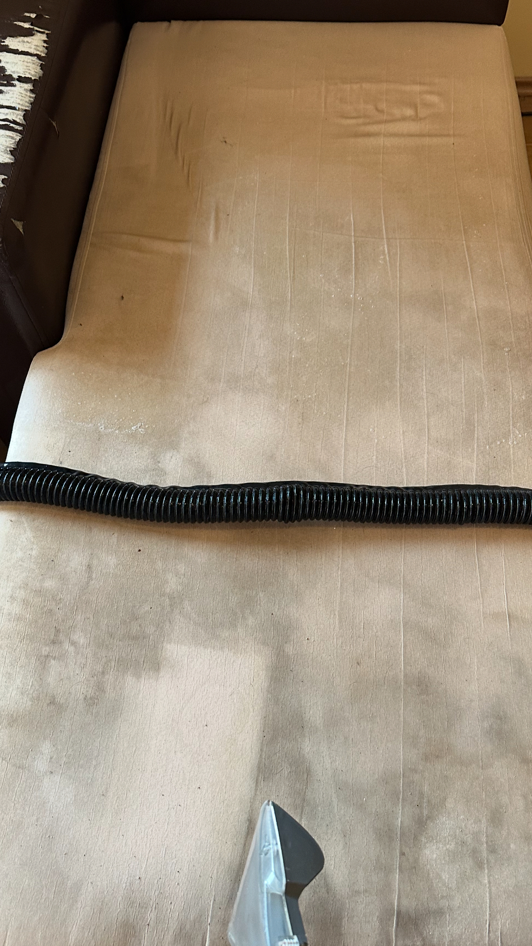 Before photo for Upholstery Cleaning