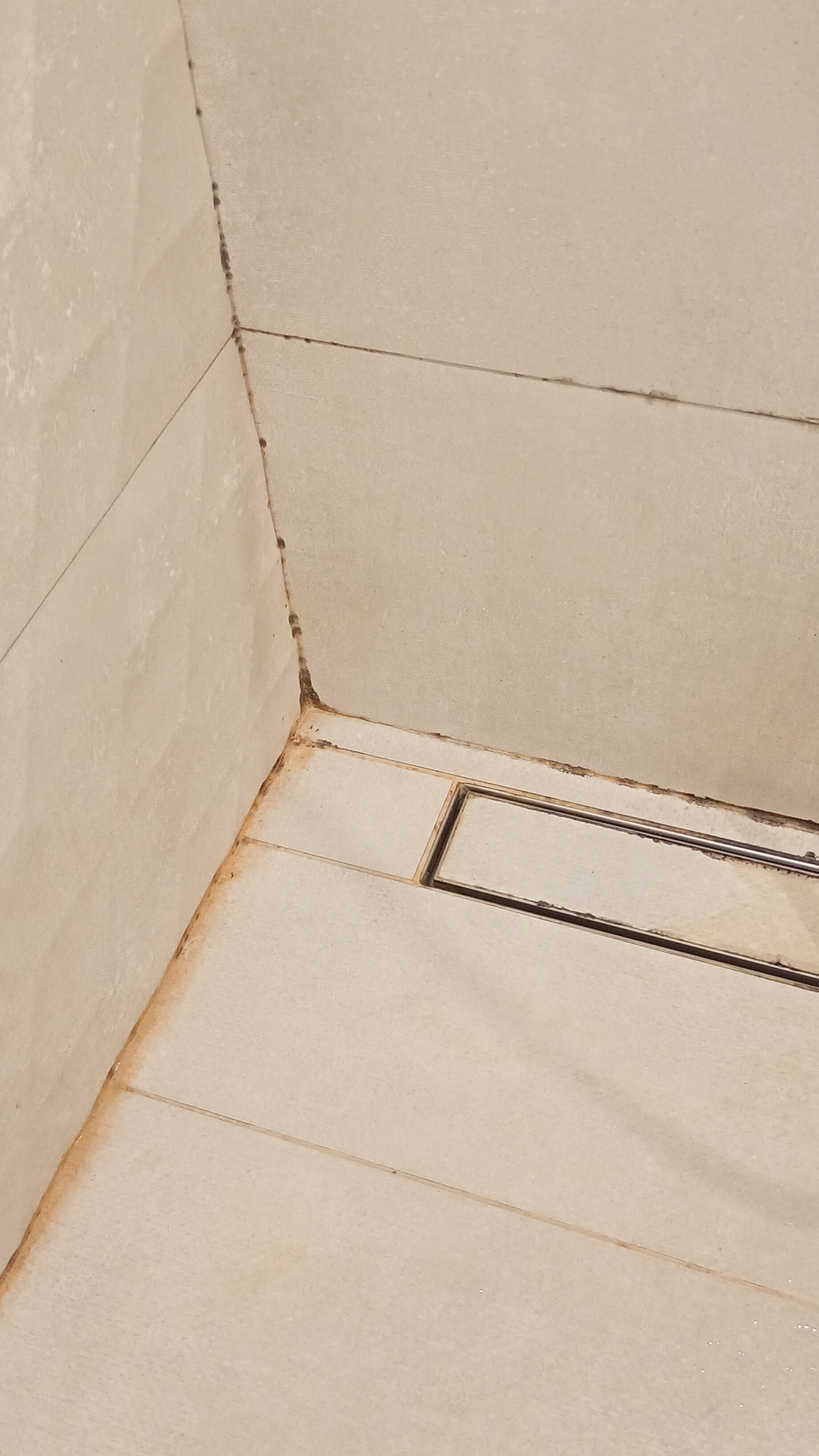 Before photo for Deep Cleaning