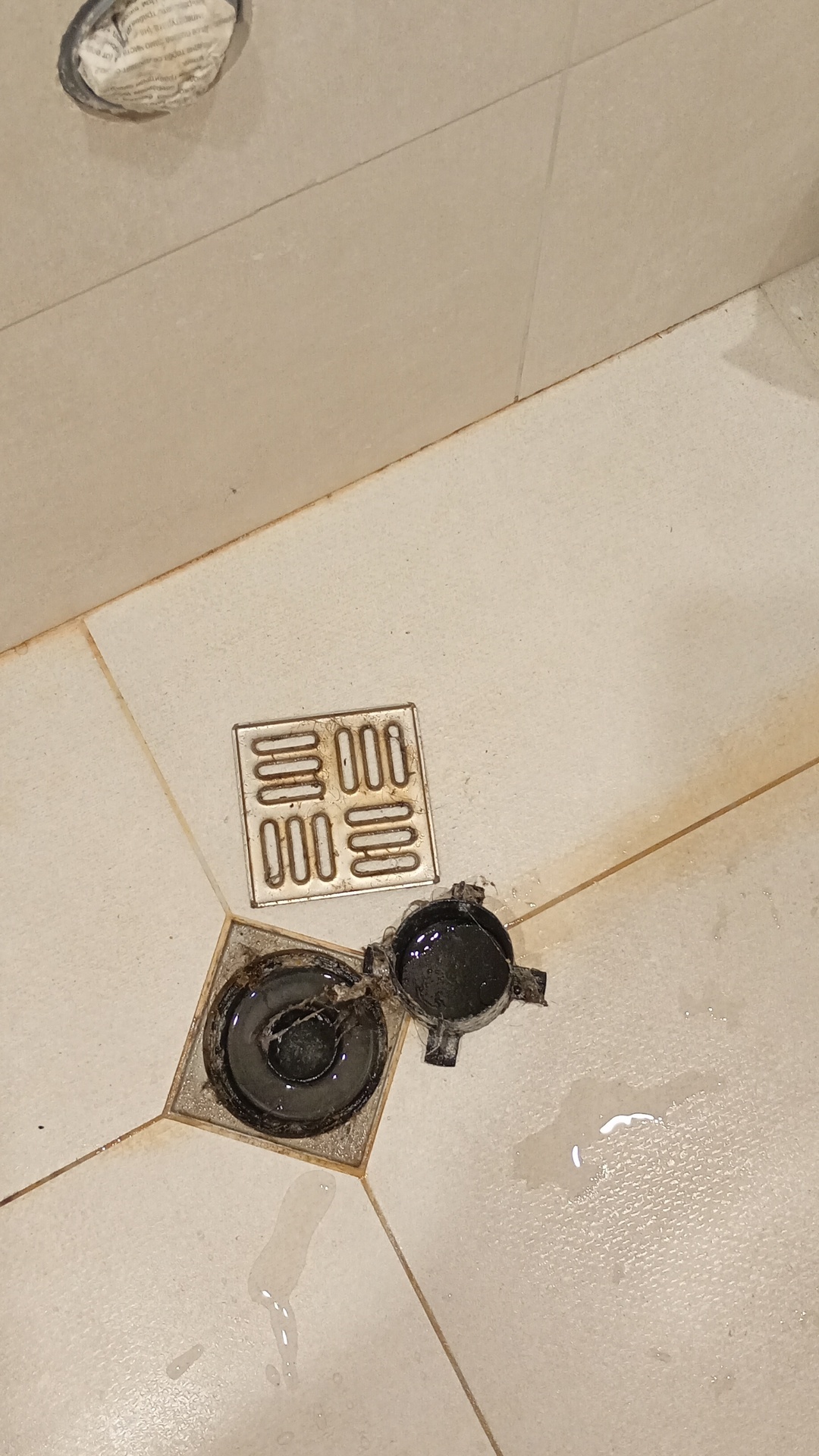 Before photo for Deep Cleaning