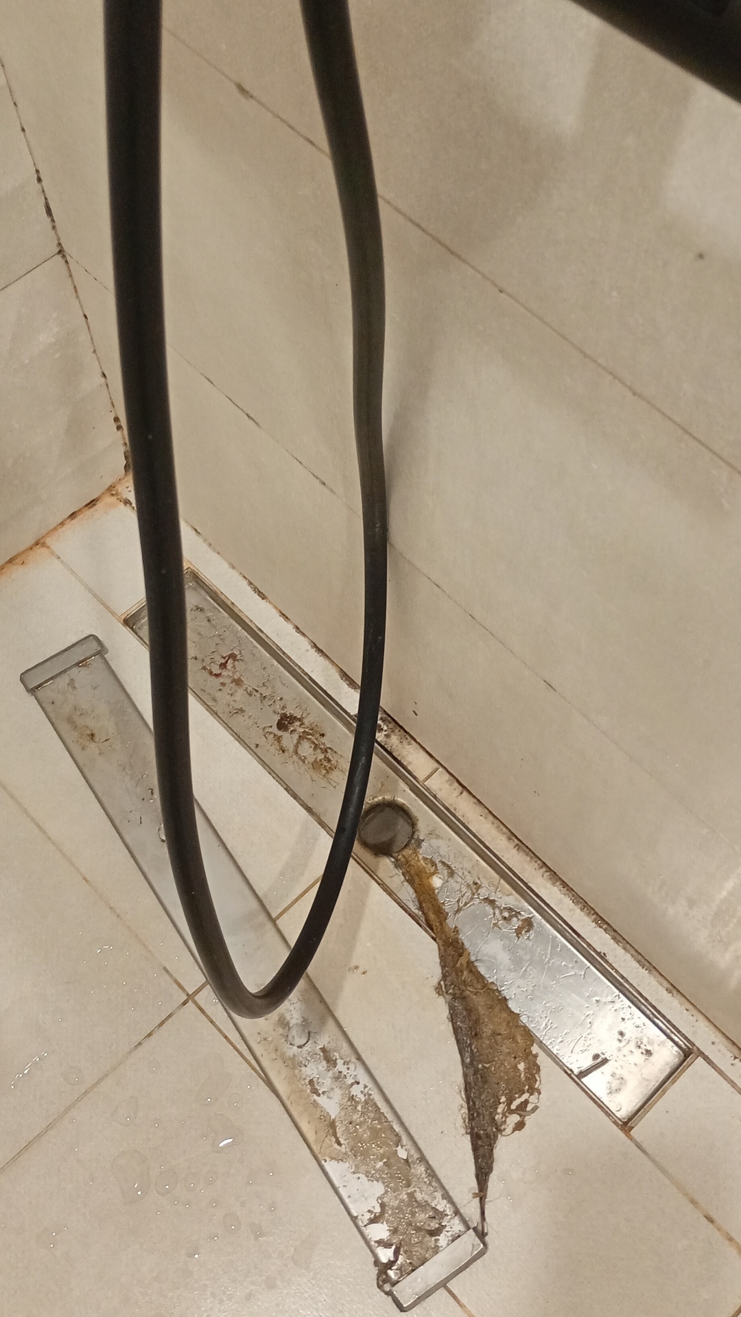 Before photo for Deep Cleaning