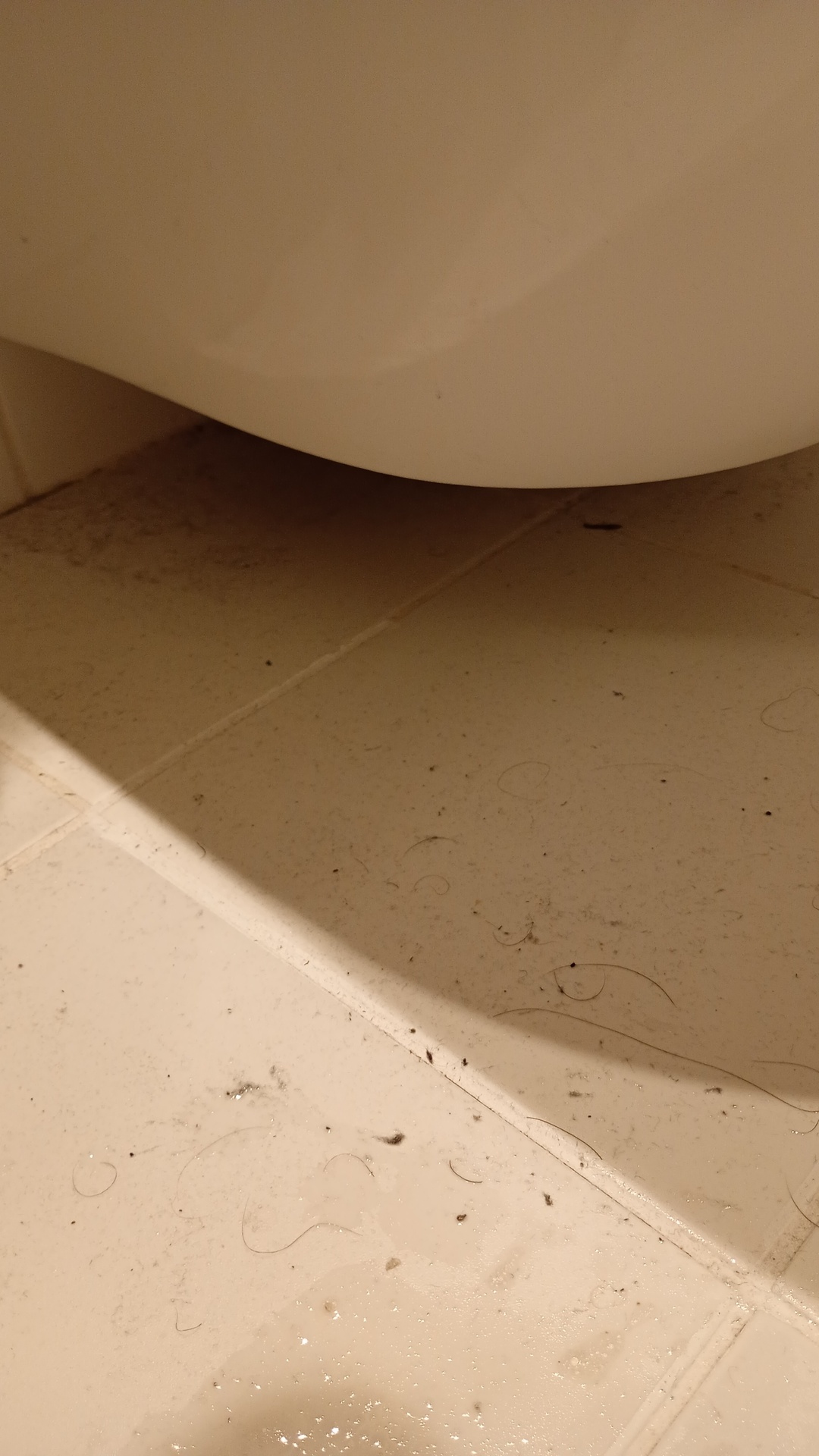 Before photo for Bathroom Cleaning