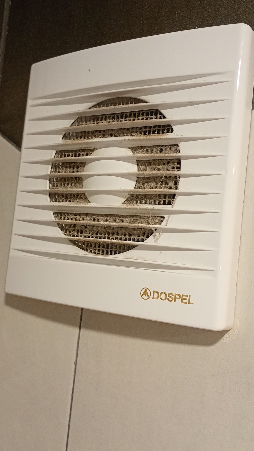 Before photo for Deep Cleaning