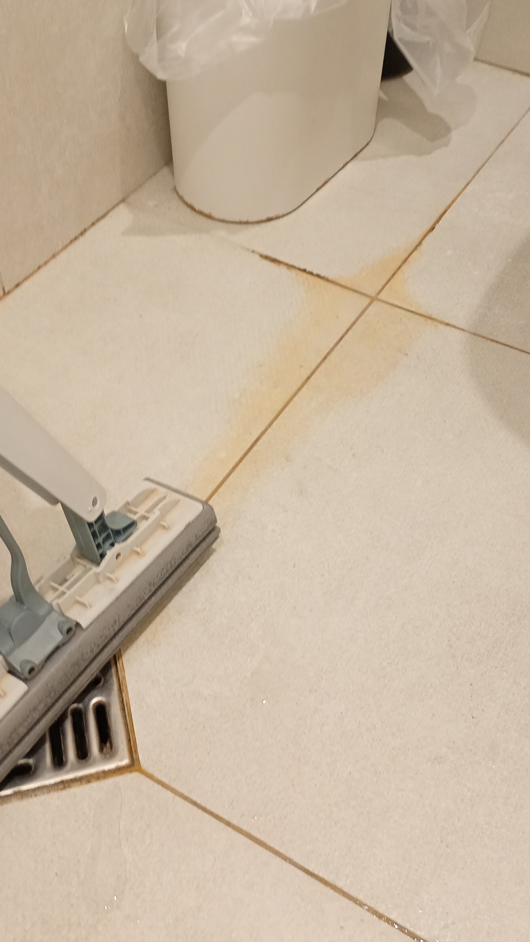 Before photo for Deep Cleaning