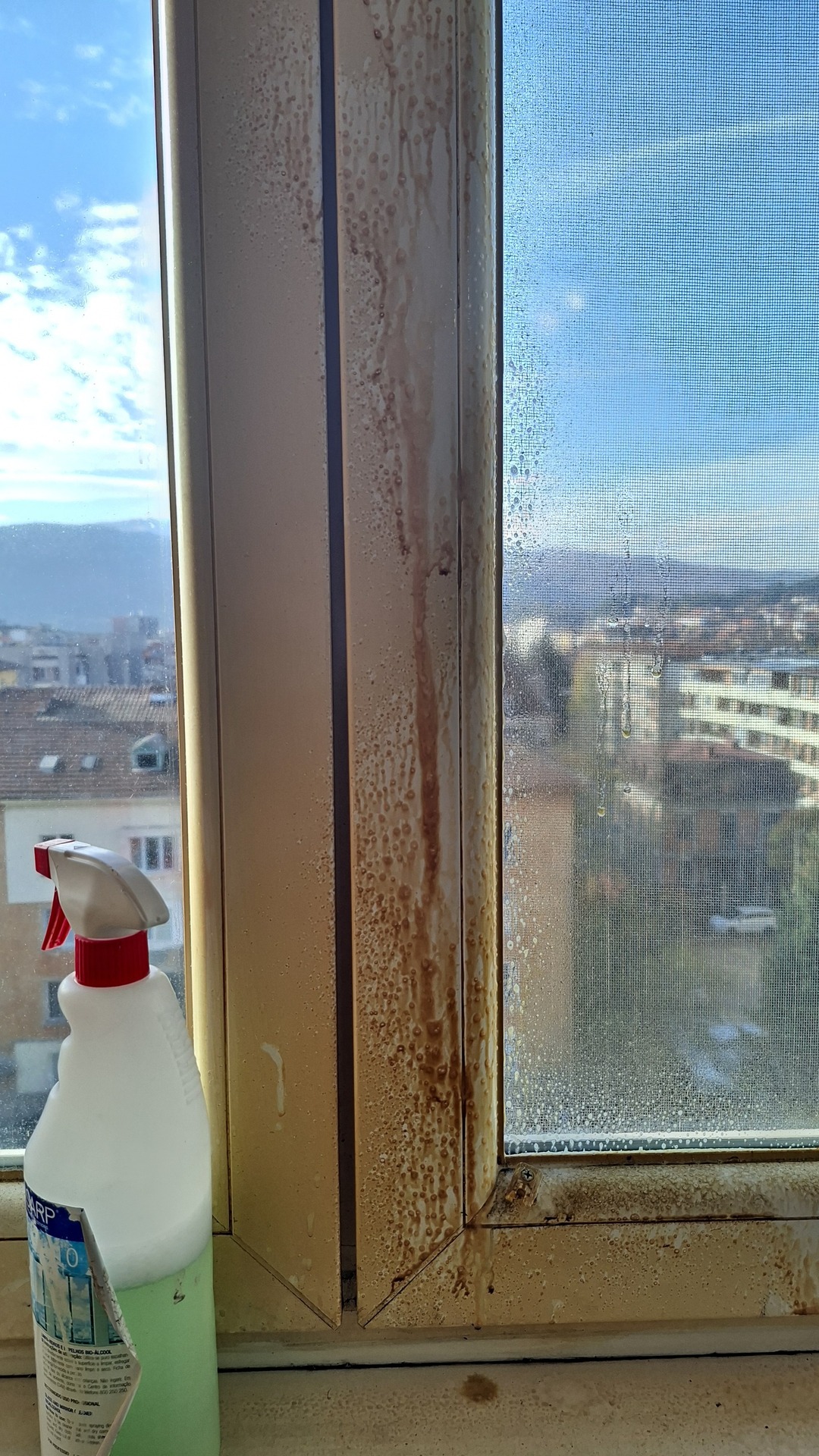 Before photo for Почистване на прозорци