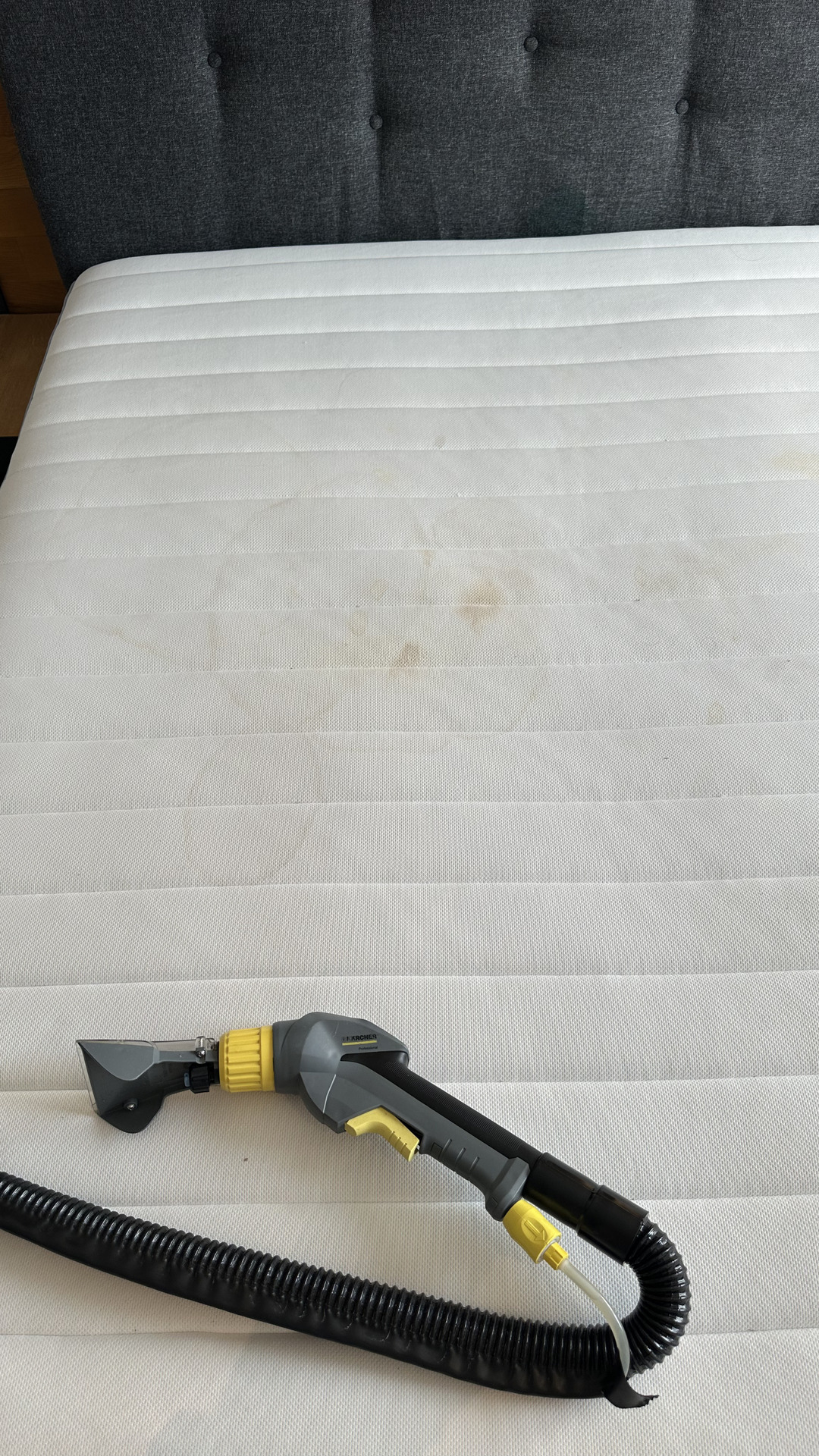 Before photo for Upholstery Cleaning