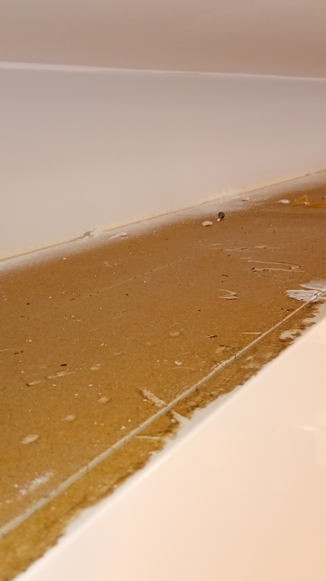 Before photo for Основно почистване