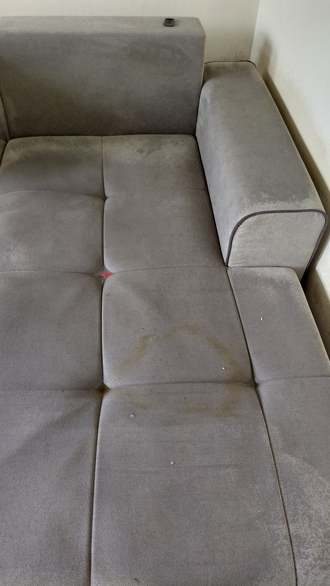 Before photo for Upholstery Cleaning