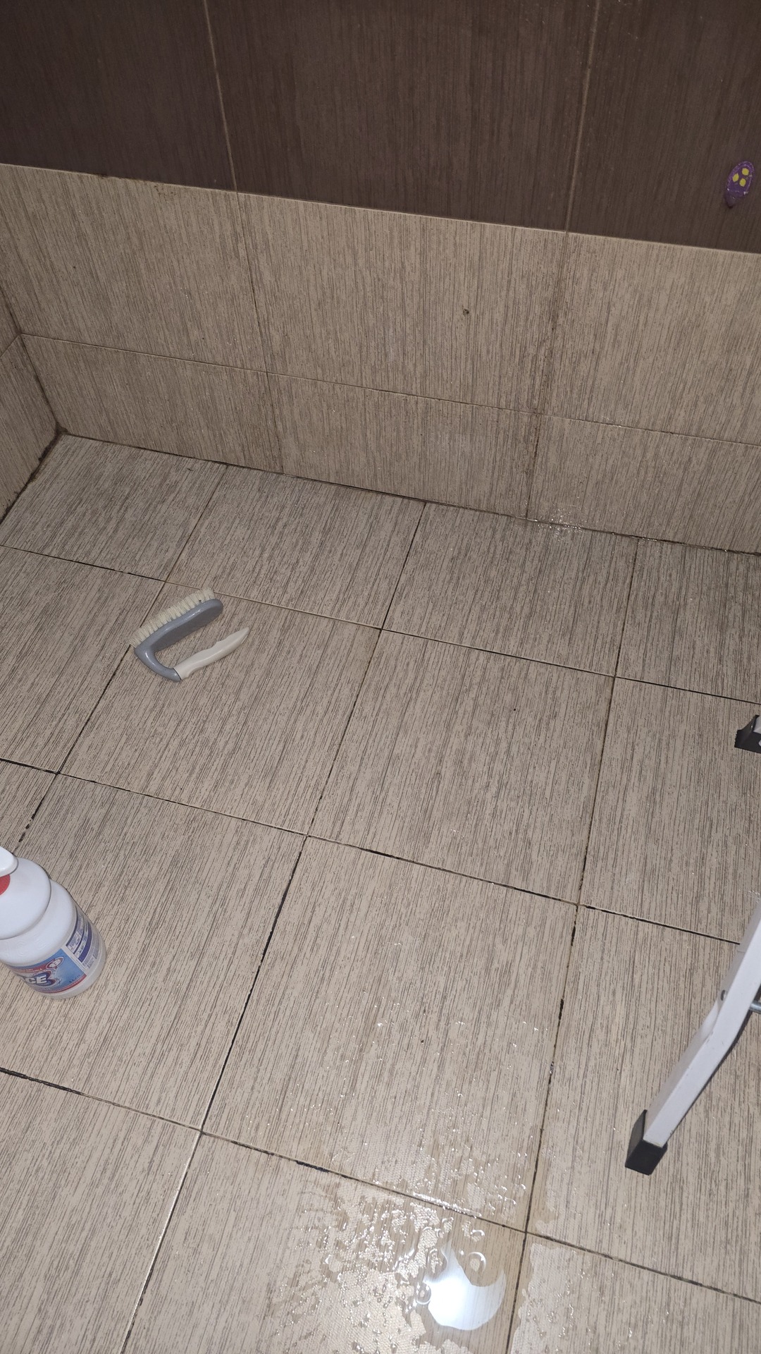 Before photo for Deep Cleaning