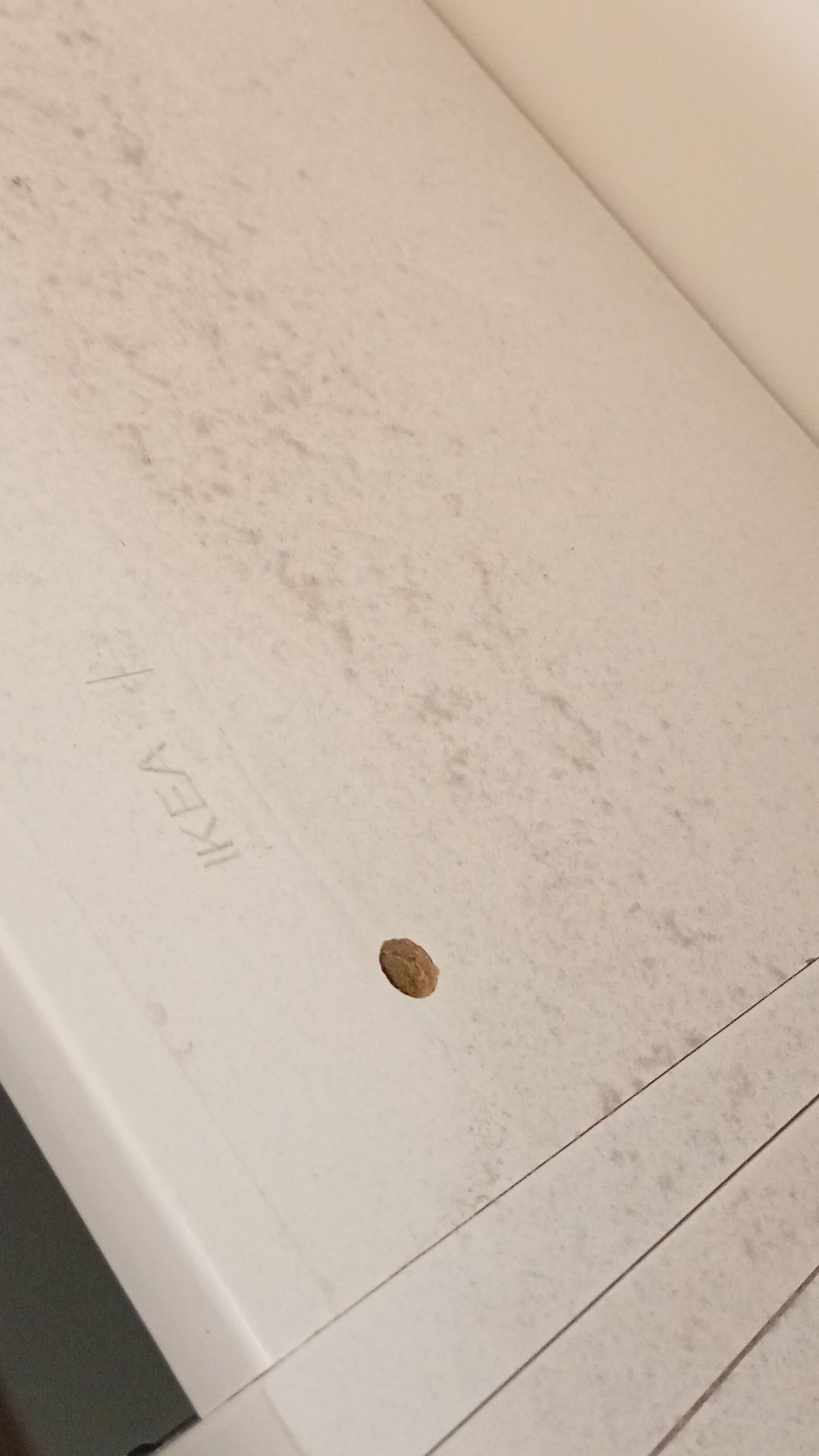 Before photo for Основно почистване