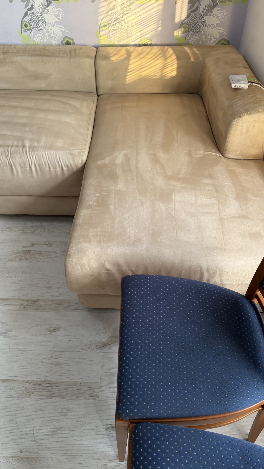 After photo for Upholstery Cleaning