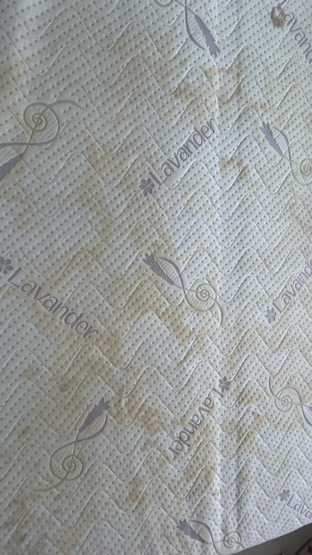 Before photo for Пране на мека мебел